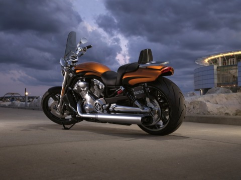 policaro harley